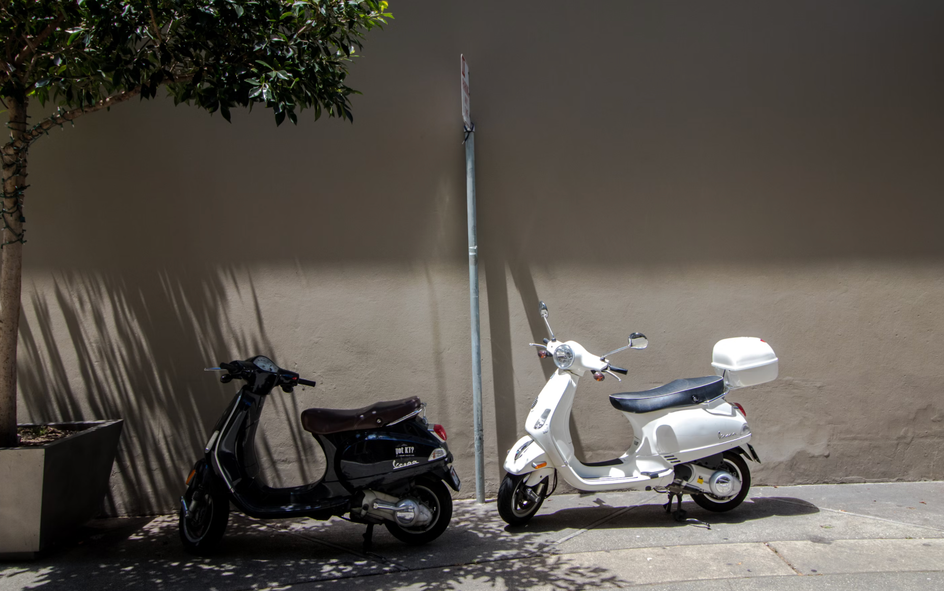 Renting a Car or a Scooter